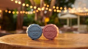2026 mid autumn paw walk at amara sanctuary sentosa at sentosa