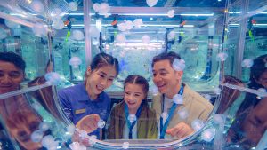 2026 animal spotlight sea jellies at sentosa
