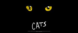 2026 cats the musical at mbs