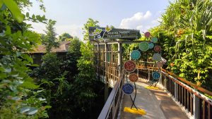 2026 sentosa nature discovery gallery tour at sentosa