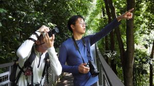 2026 singapore biodiversity race at sentosa