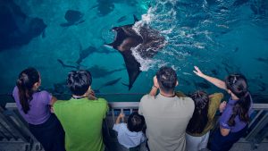 2026 singapore oceanarium insider experience at sentosa